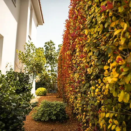 Villa Saturn Larnaca